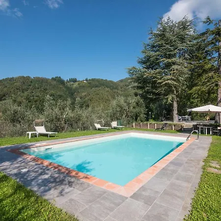 Sunnyside * Massa e Cozzile